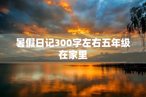 暑假日记300字左右五年级在家里