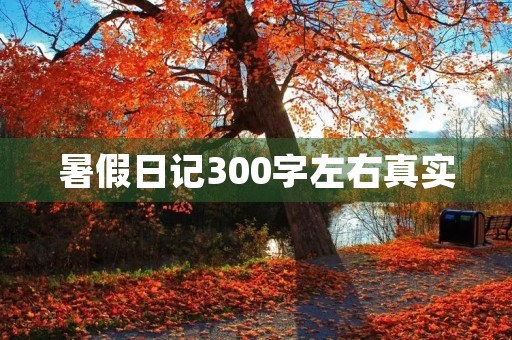 暑假日记300字左右真实