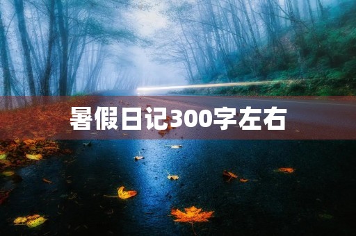 暑假日记300字左右 暑假日记300字左右