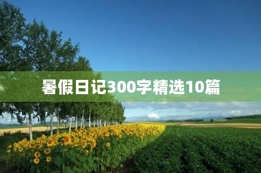 暑假日记300字精选10篇