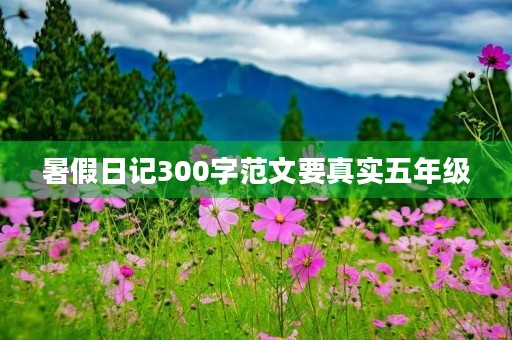 暑假日记300字范文要真实五年级