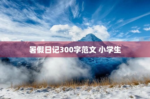 暑假日记300字范文 小学生