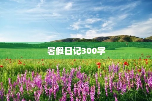 暑假日记300字