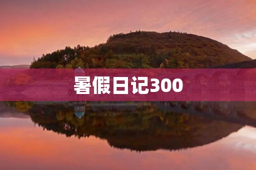 暑假日记300 暑假日记300