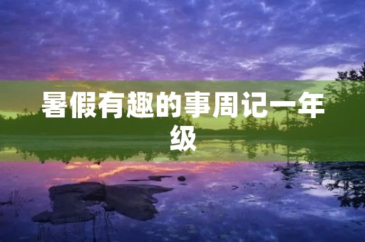 暑假有趣的事周记一年级