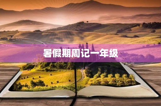 暑假期周记一年级