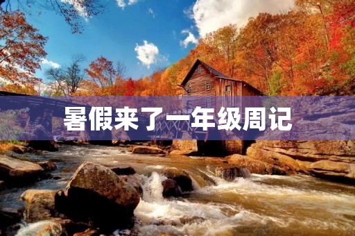 暑假来了一年级周记