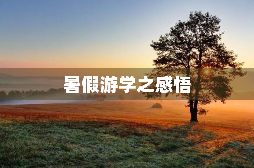 暑假游学之感悟 暑假游学之感悟