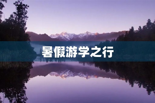 暑假游学之行 暑假游学之行