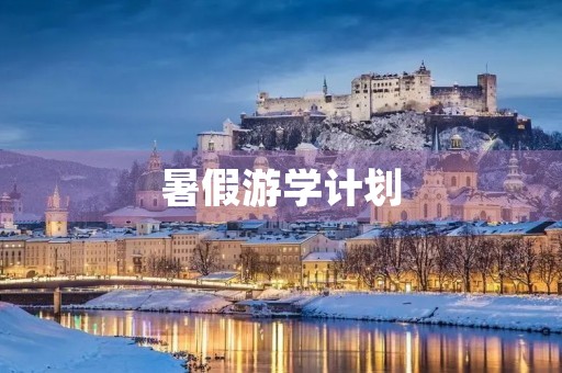 暑假游学计划