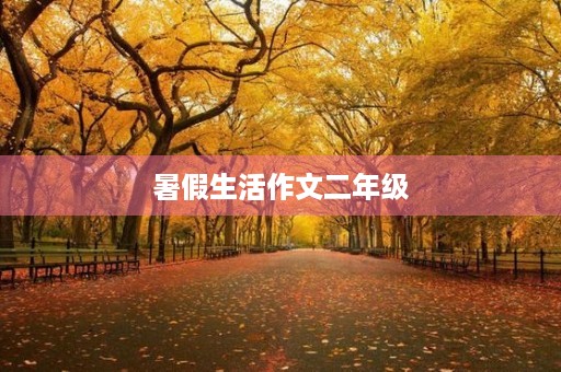 暑假生活作文二年级 暑假生活作文二年级