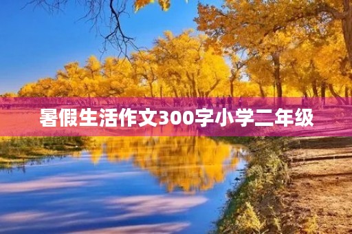 暑假生活作文300字小学二年级