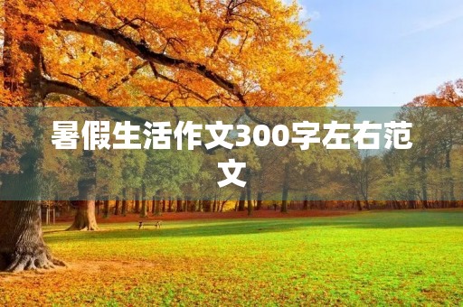 暑假生活作文300字左右范文