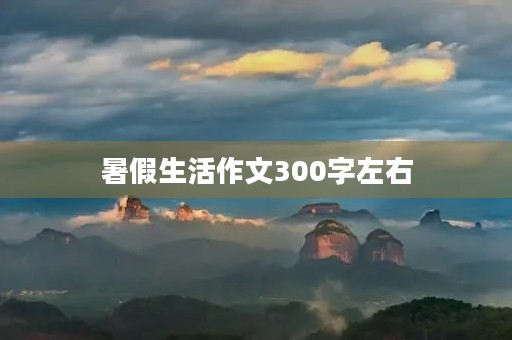 暑假生活作文300字左右