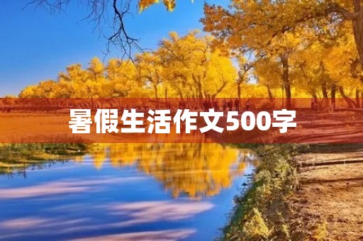 暑假生活作文500字
