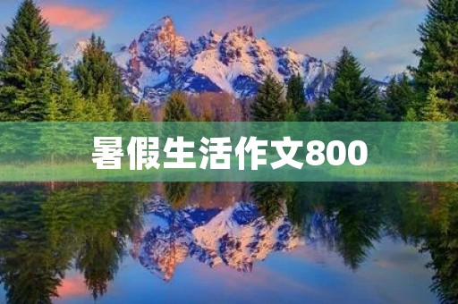 暑假生活作文800