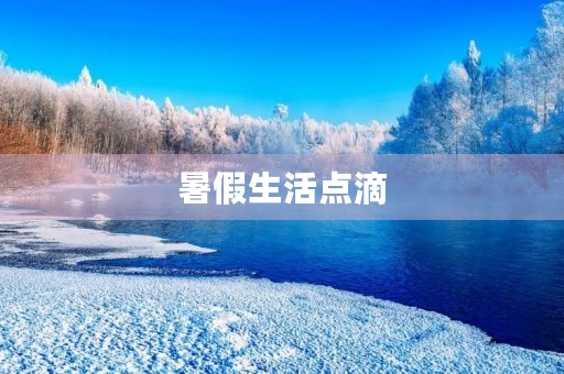 暑假生活点滴 暑假生活点滴