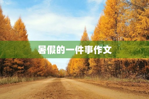 暑假的一件事作文 暑假的一件事作文