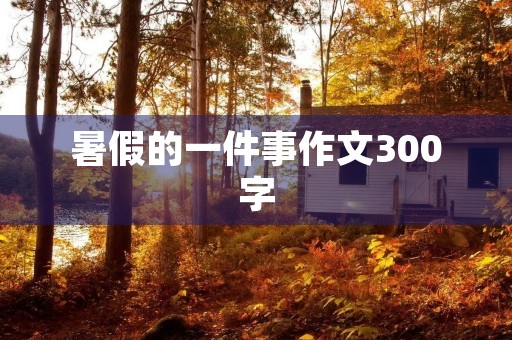 暑假的一件事作文300字