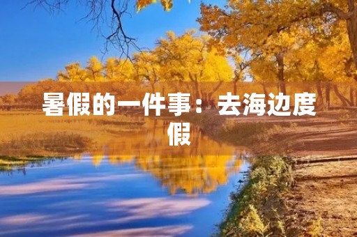 暑假的一件事：去海边度假