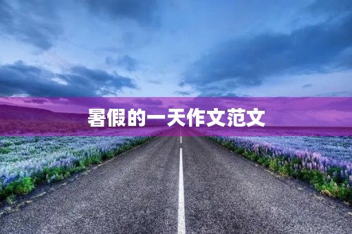 暑假的一天作文范文 暑假的一天作文范文