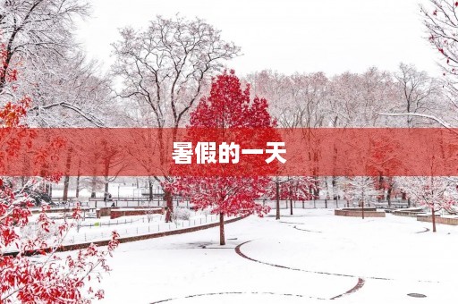 暑假的一天