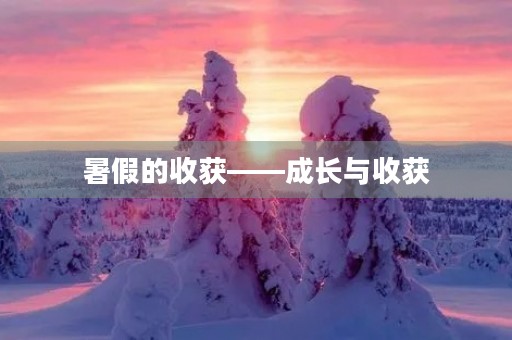 暑假的收获——成长与收获