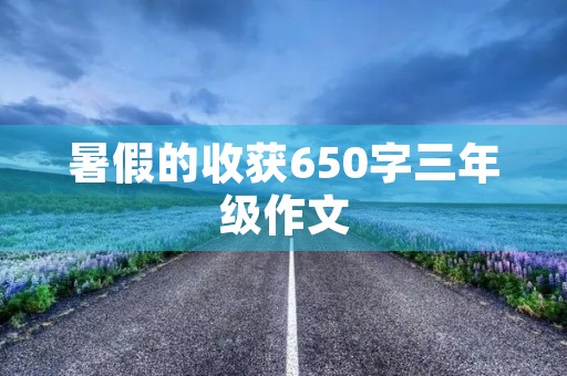暑假的收获650字三年级作文