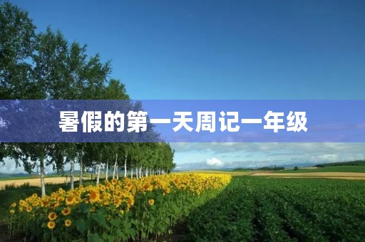 暑假的第一天周记一年级 暑假的第一天周记一年级