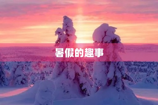 暑假的趣事 暑假的趣事