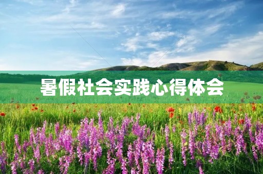 暑假社会实践心得体会 暑假社会实践心得体会