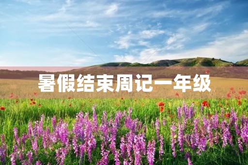 暑假结束周记一年级