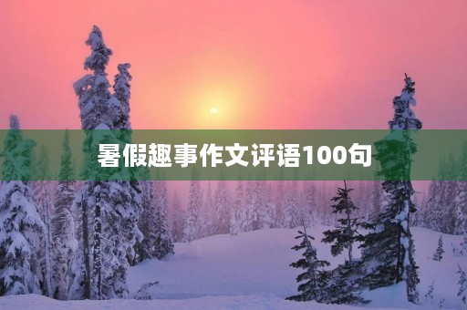 暑假趣事作文评语100句