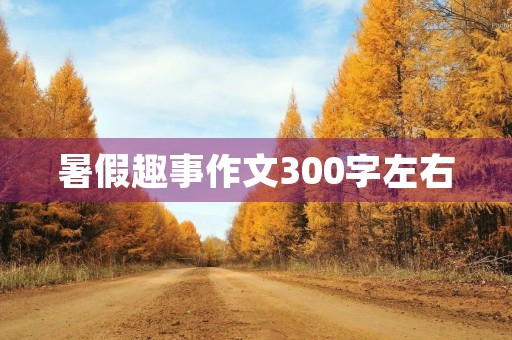 暑假趣事作文300字左右 暑假趣事作文300字左右