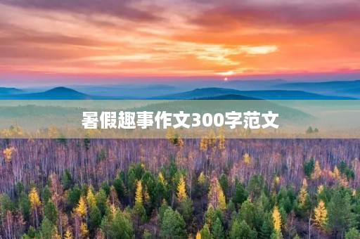 暑假趣事作文300字范文