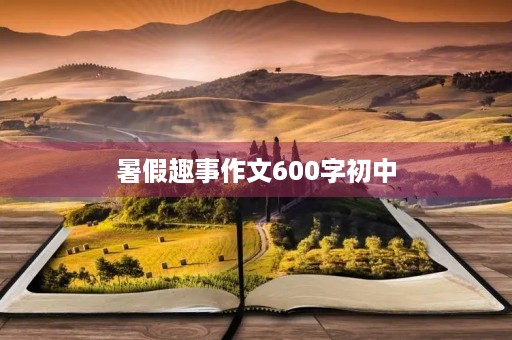 暑假趣事作文600字初中