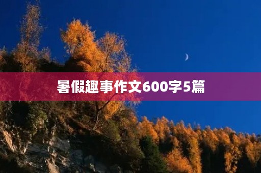 暑假趣事作文600字5篇