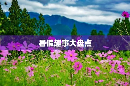 暑假趣事大盘点 暑假趣事大盘点
