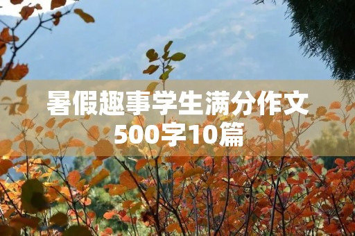 暑假趣事学生满分作文500字10篇 暑假趣事学生满分作文500字10篇