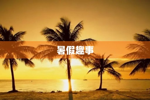 暑假趣事 暑假趣事