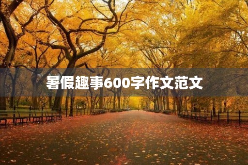 暑假趣事600字作文范文 暑假趣事600字作文范文