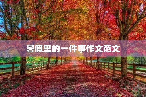 暑假里的一件事作文范文 暑假里的一件事作文范文