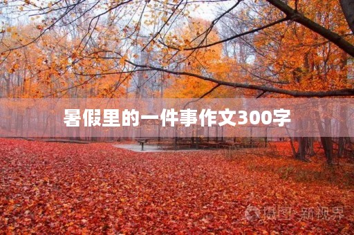暑假里的一件事作文300字 暑假里的一件事作文300字