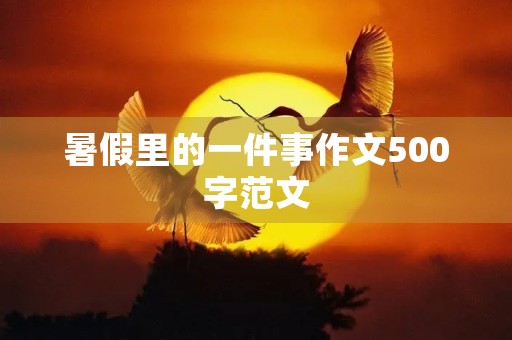暑假里的一件事作文500字范文 暑假里的一件事作文500字范文