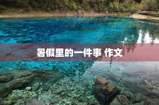 暑假里的一件事 作文