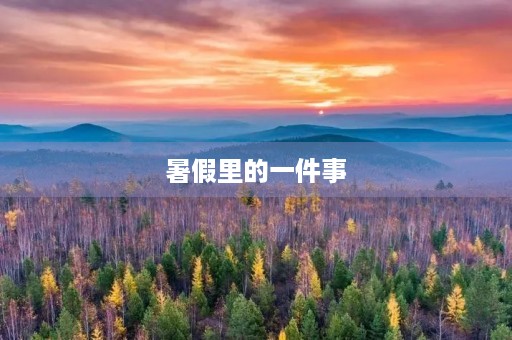 暑假里的一件事 暑假里的一件事