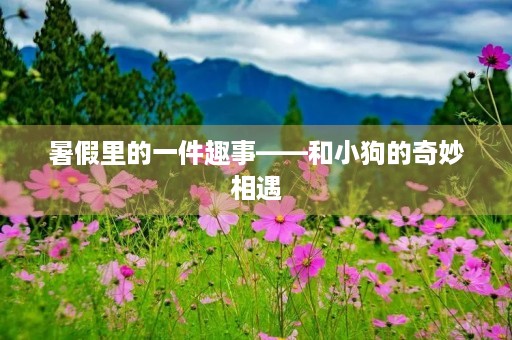 暑假里的一件趣事——和小狗的奇妙相遇 暑假里的一件趣事——和小狗的奇妙相遇