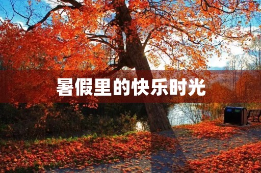 暑假里的快乐时光