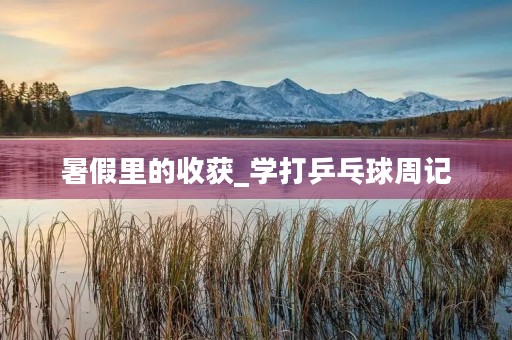 暑假里的收获_学打乒乓球周记