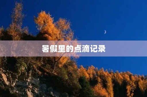 暑假里的点滴记录 暑假里的点滴记录